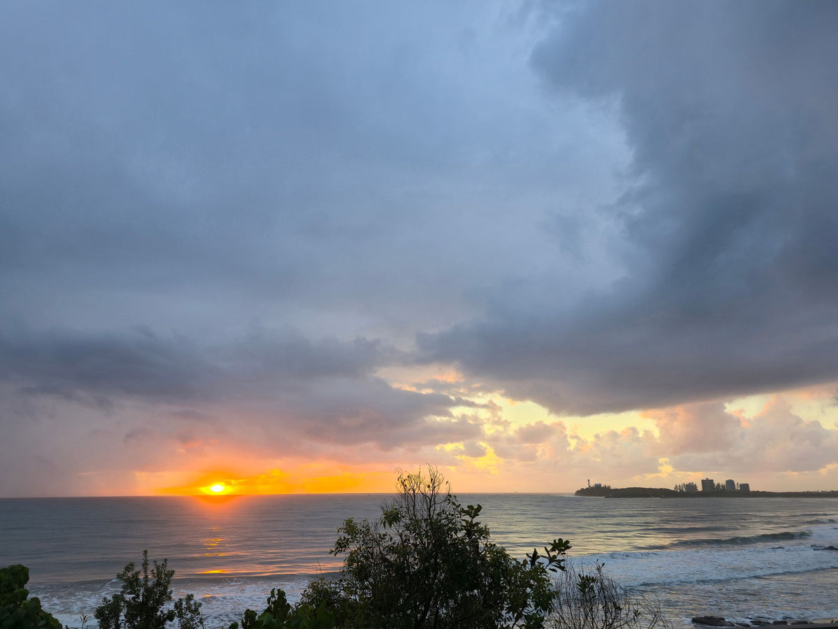 Alex Heads, Sunshine Coast QLD — Day 268