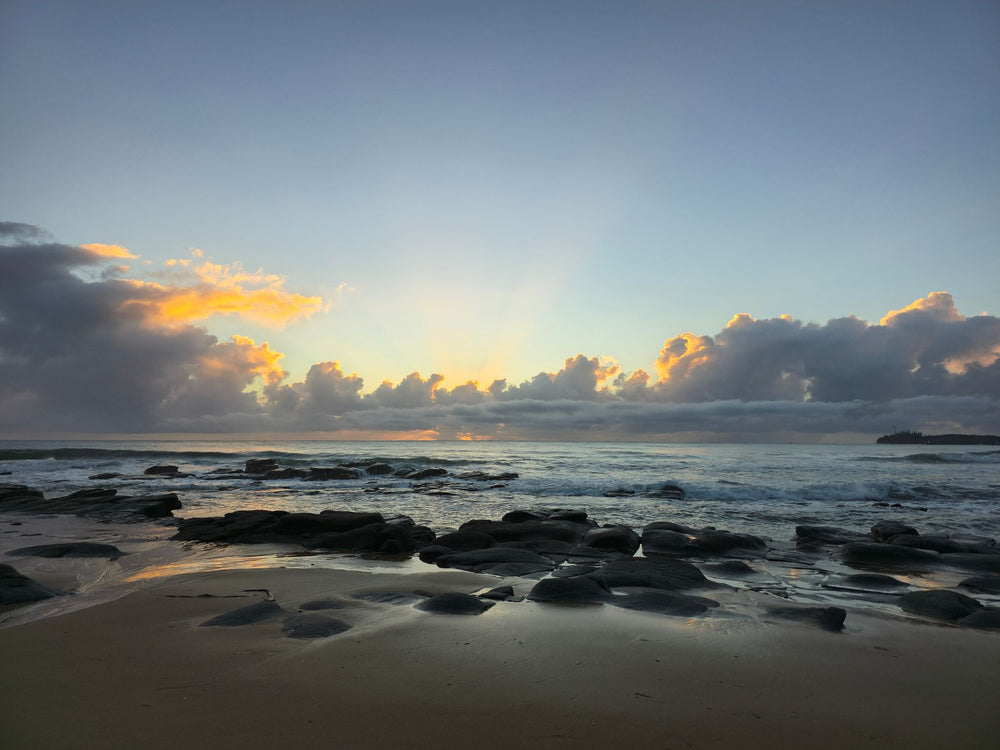 Alex Heads, Sunshine Coast QLD