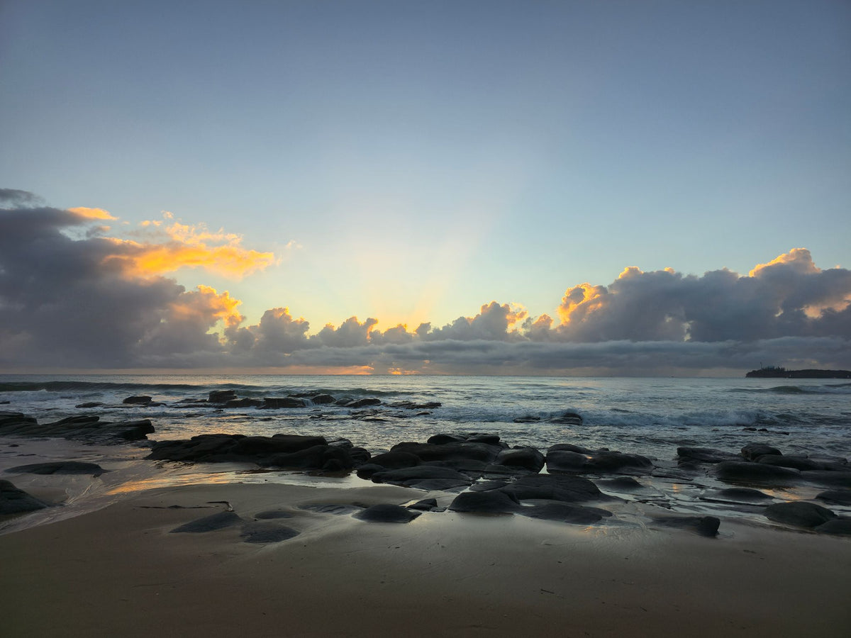 Alex Heads, Sunshine Coast QLD — Day 270