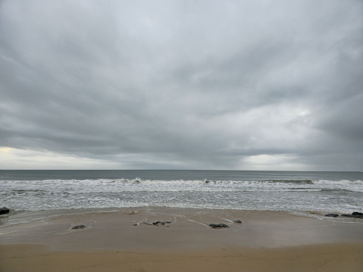 Alex Heads, Sunshine Coast QLD — Day 278