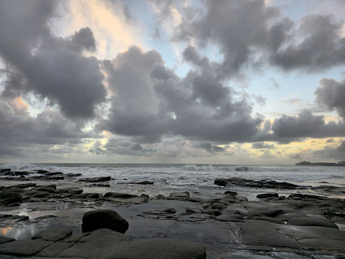 Alex Heads, Sunshine Coast QLD — Day 279