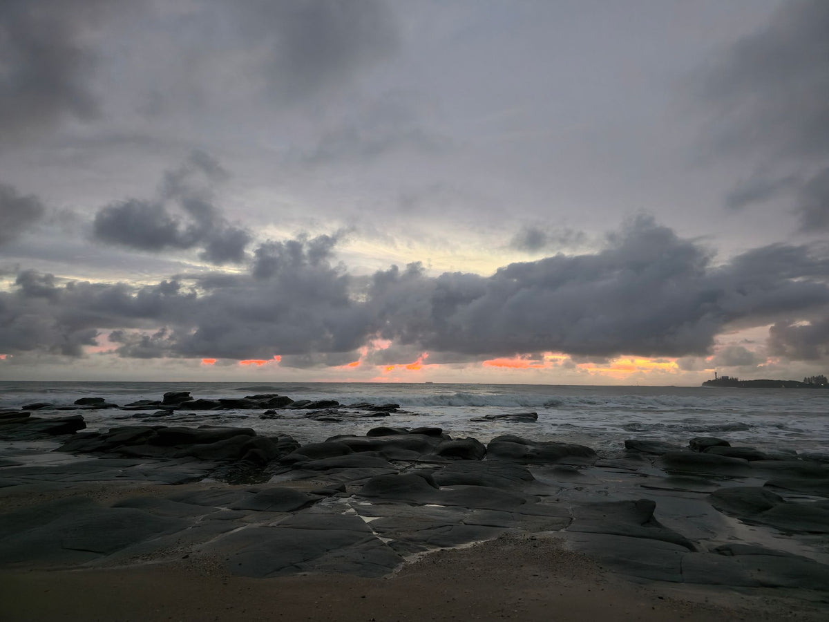 Alex Heads, Sunshine Coast QLD — Day 280