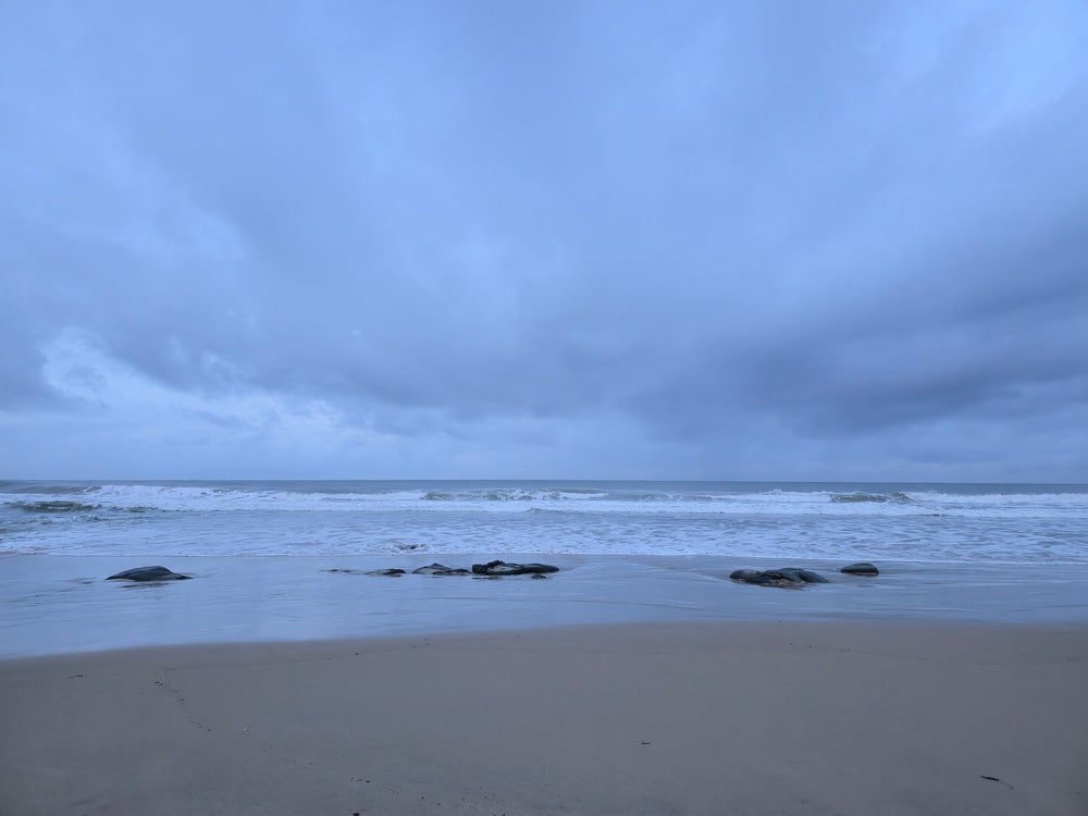 Alex Heads, Sunshine Coast QLD
