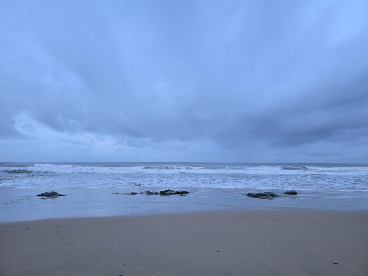 Alex Heads, Sunshine Coast QLD — Day 281