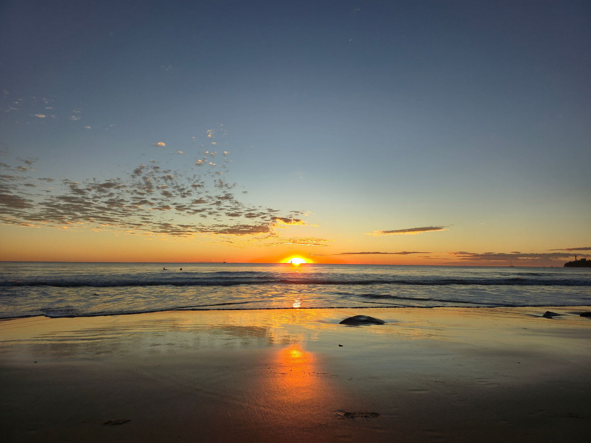 Alex Heads, Sunshine Coast QLD — Day 284