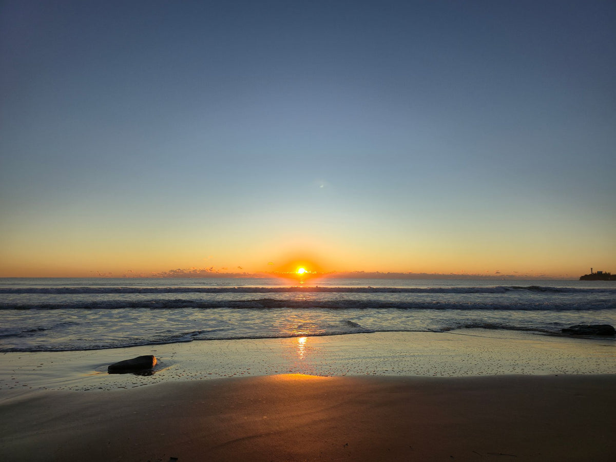 Alex Heads, Sunshine Coast QLD — Day 285