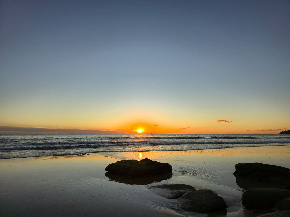 Alex Heads, Sunshine Coast QLD — Day 290