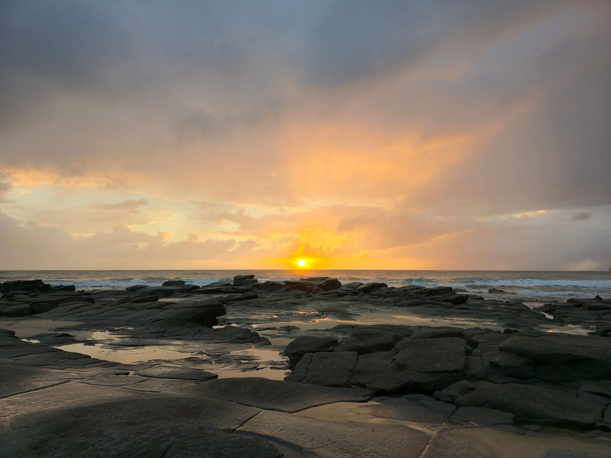 Alex Heads, Sunshine Coast QLD — Day 294
