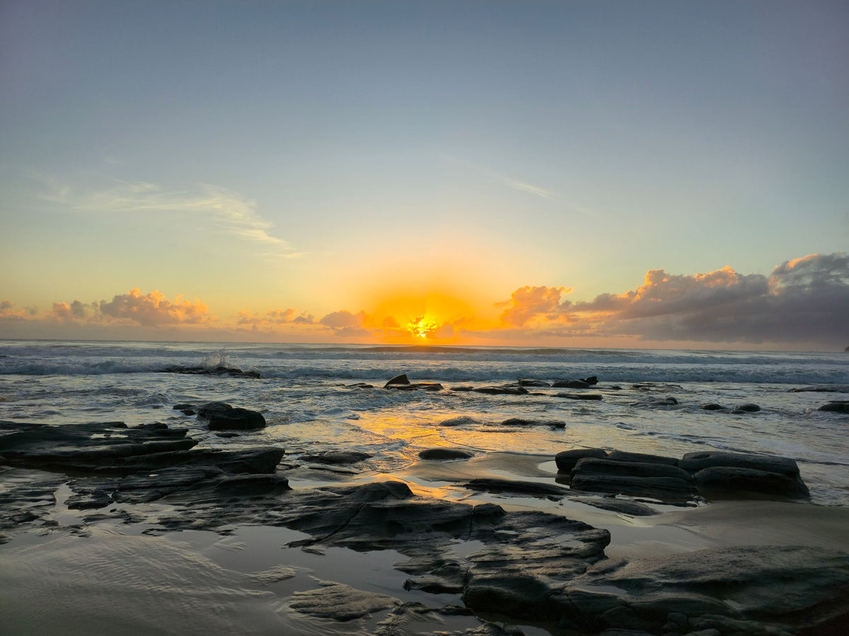 Alex Heads, Sunshine Coast QLD