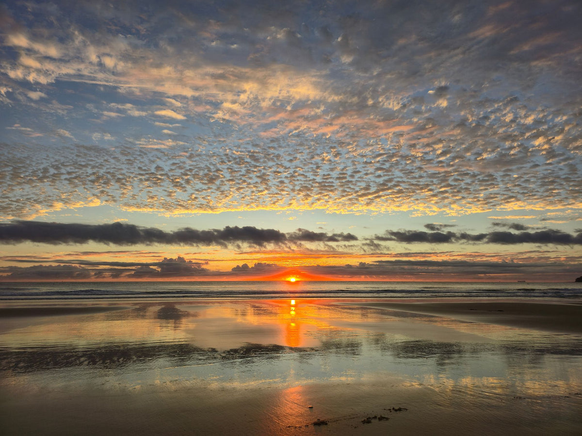 Alex Heads, Sunshine Coast QLD