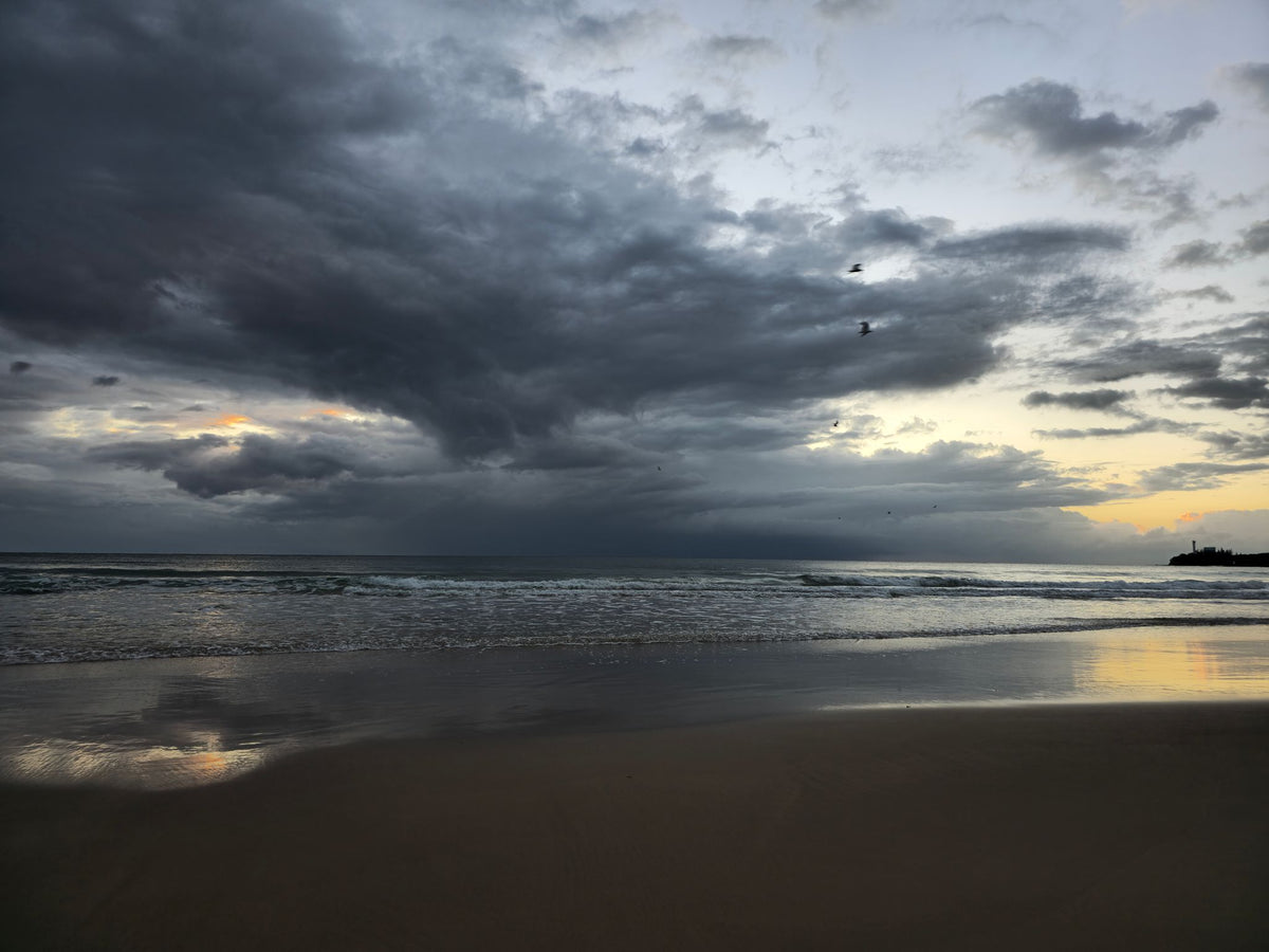 Alex Heads, Sunshine Coast QLD — Day 310