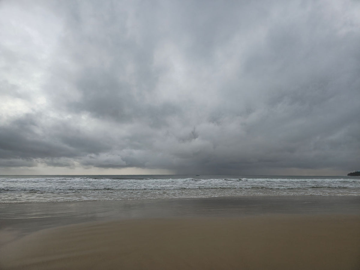 Alex Heads, Sunshine Coast QLD — Day 312