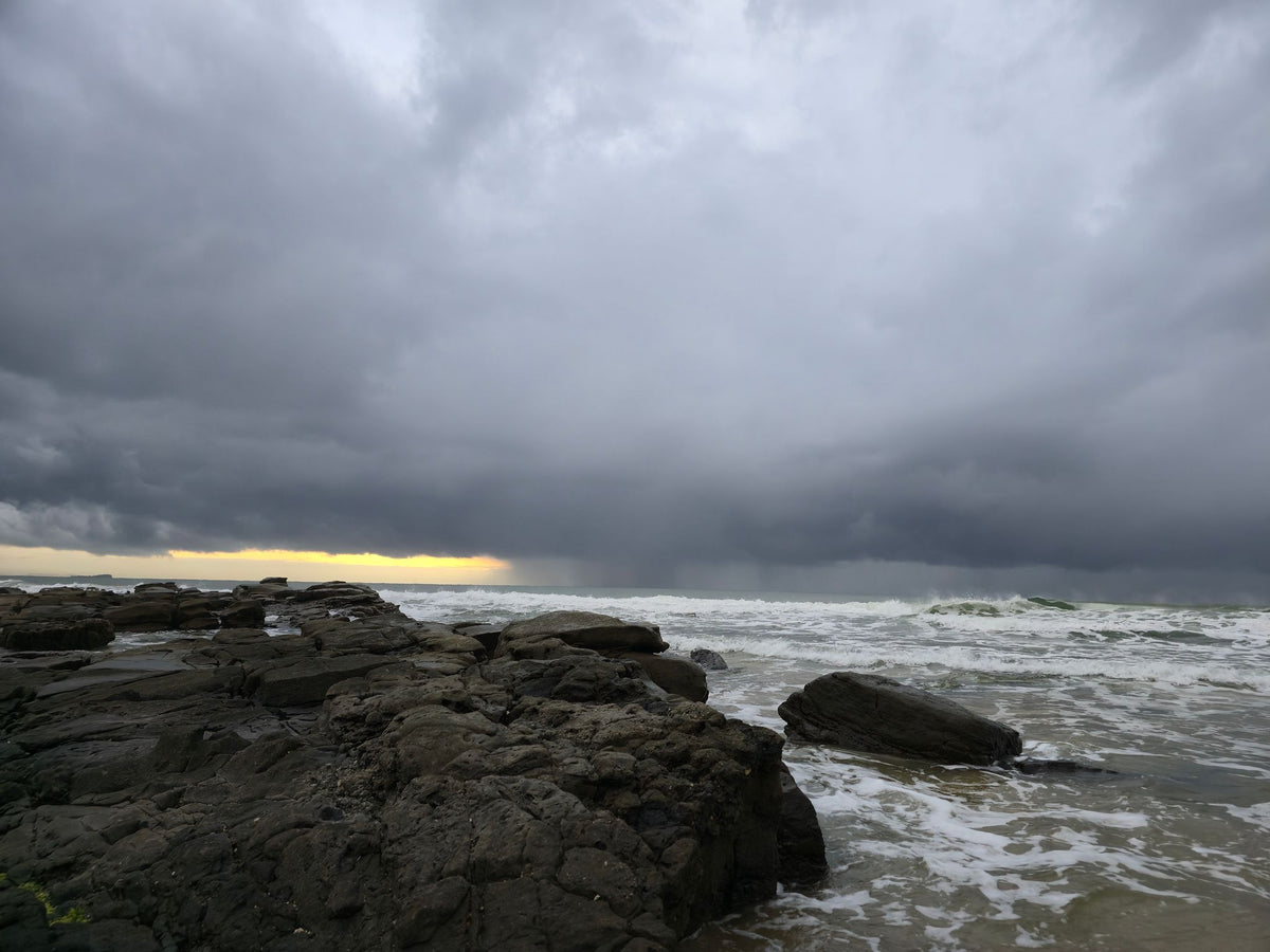 Alex Heads, Sunshine Coast QLD — Day 315