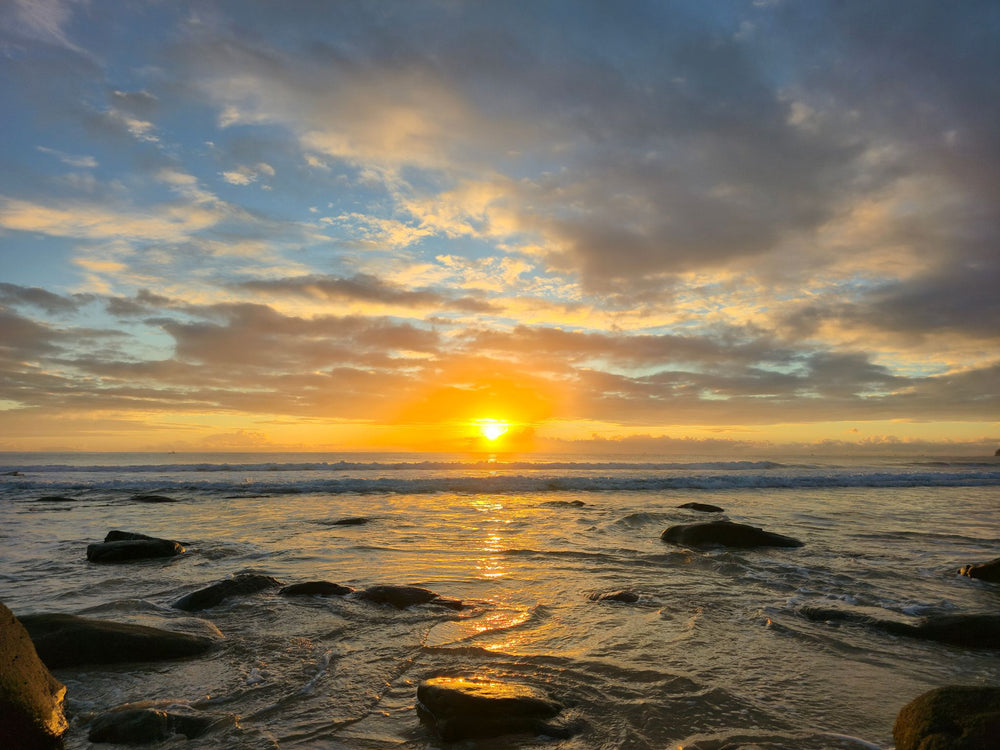 Alex Heads, Sunshine Coast QLD