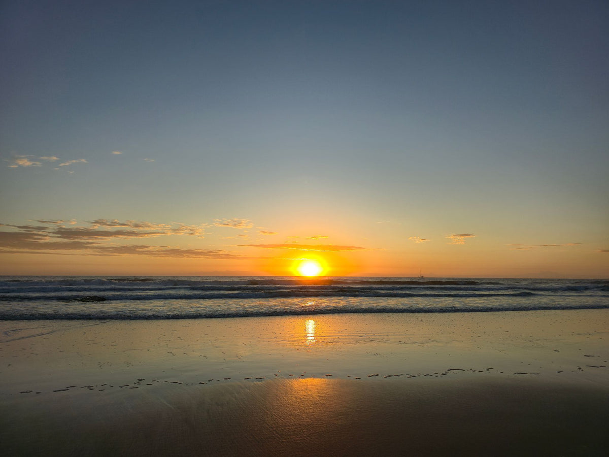 Alex Heads, Sunshine Coast QLD