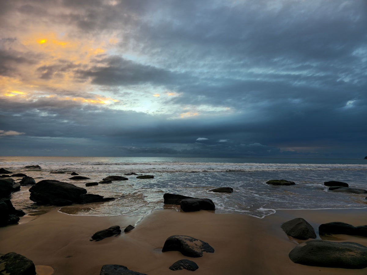 Alex Heads, Sunshine Coast QLD — Day 325