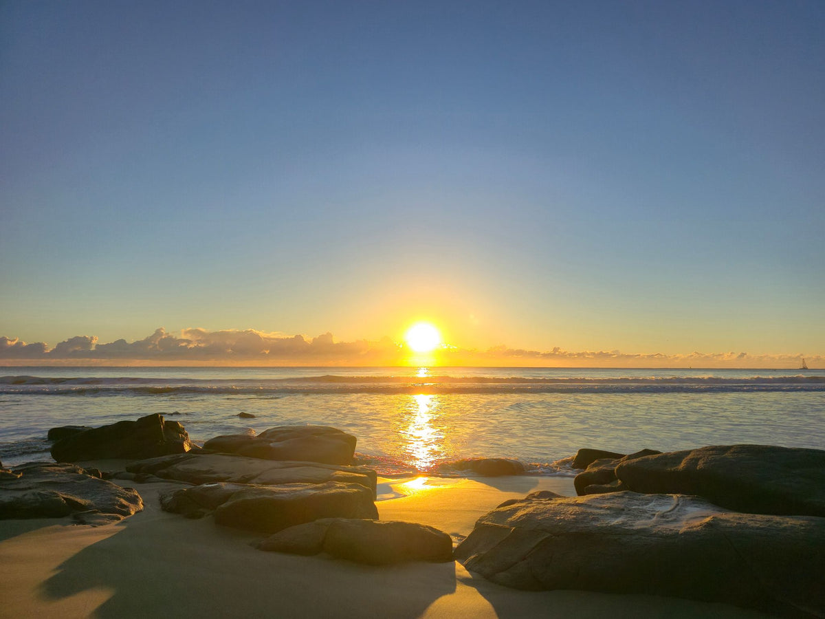 Alex Heads, Sunshine Coast QLD — Day 326