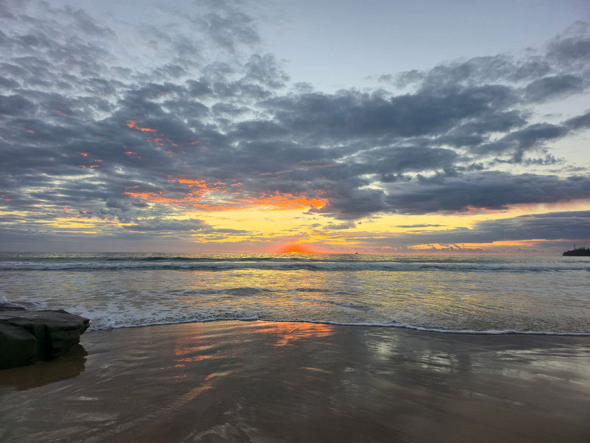 Alex Heads, Sunshine Coast QLD — Day 327