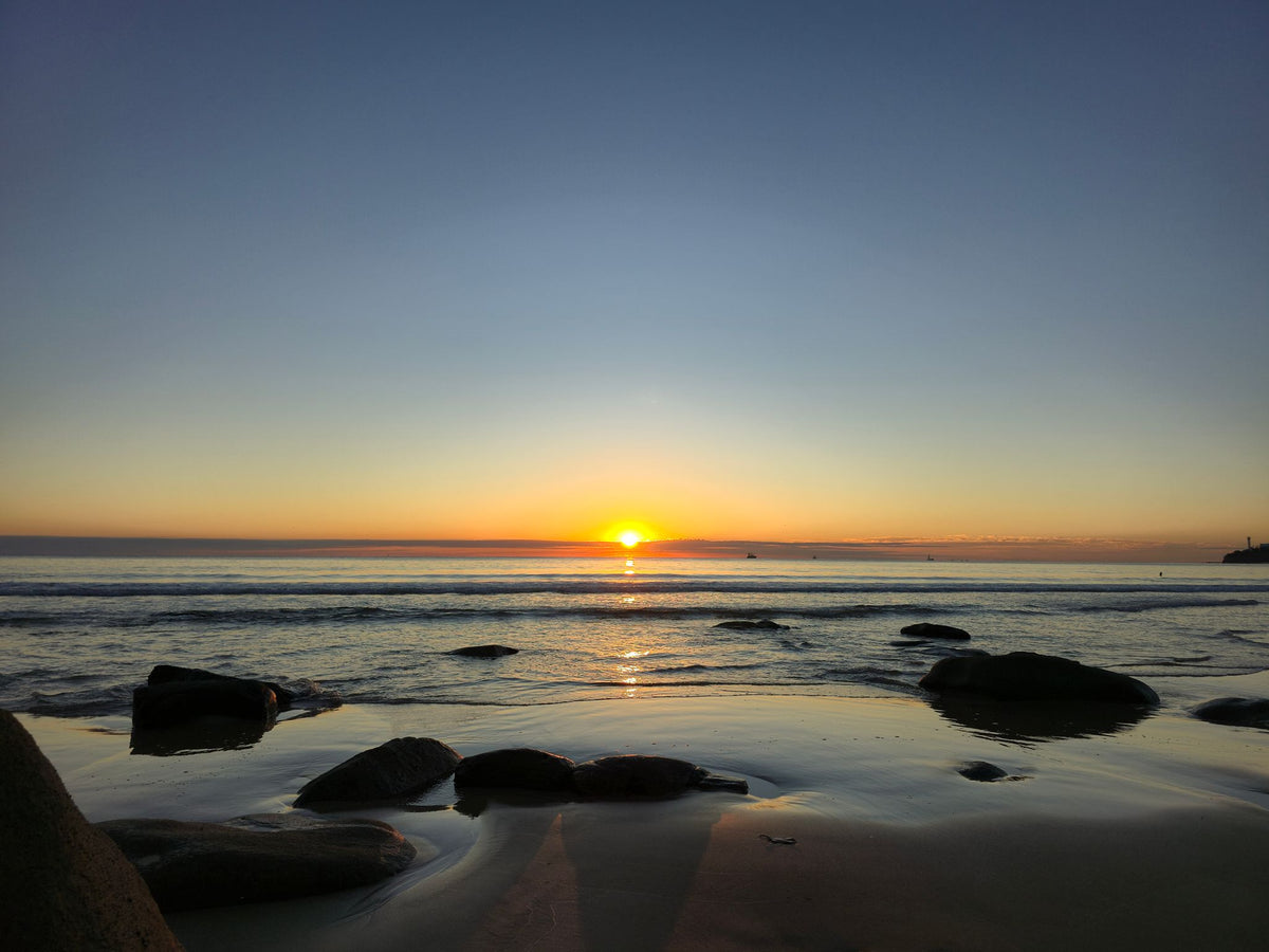 Alex Heads, Sunshine Coast QLD — Day 330