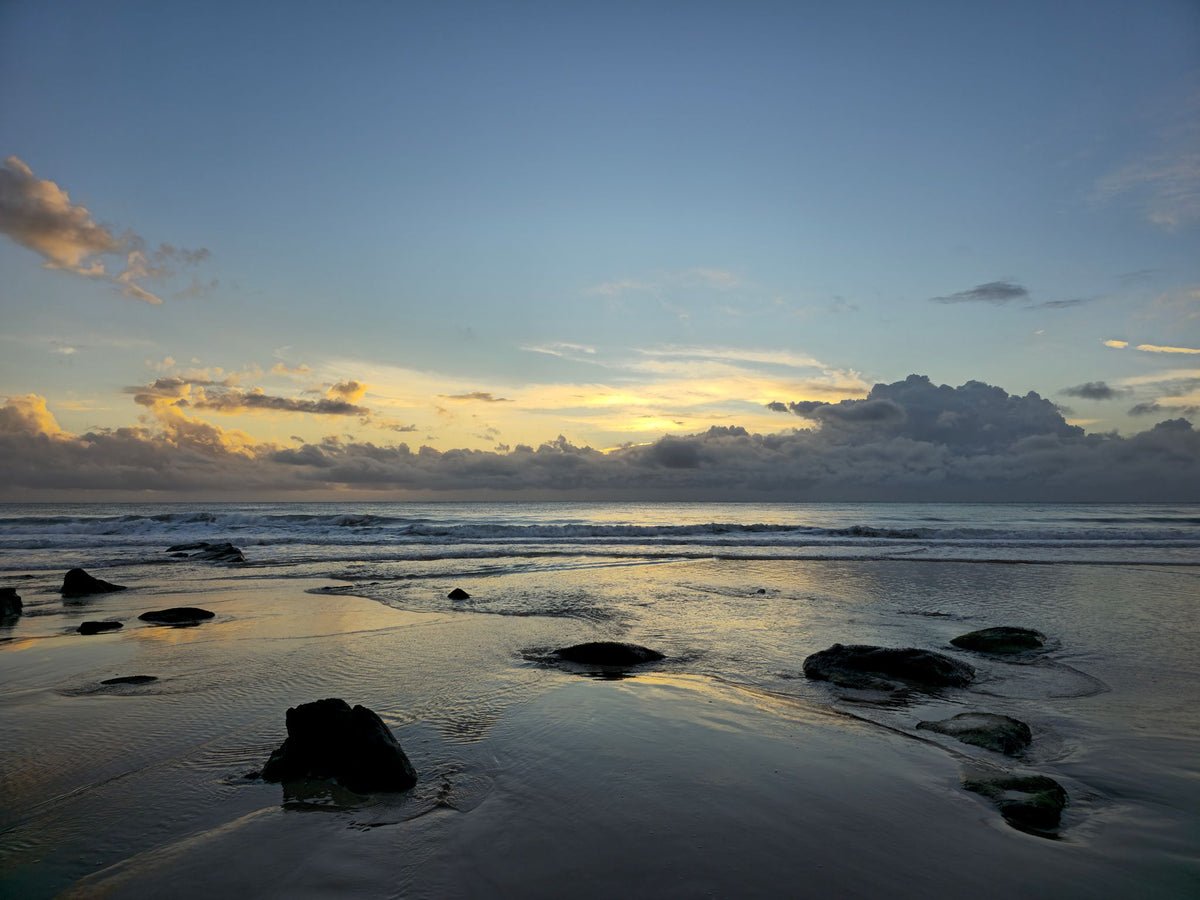 Alex Heads, Sunshine Coast QLD — Day 332