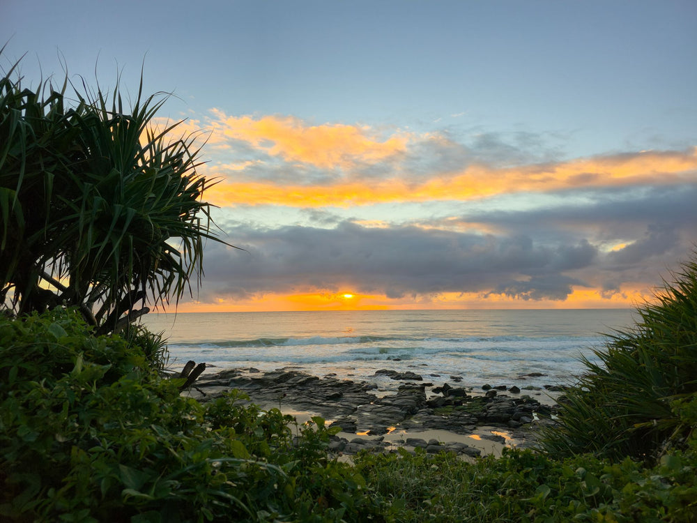 Alex Heads, Sunshine Coast QLD
