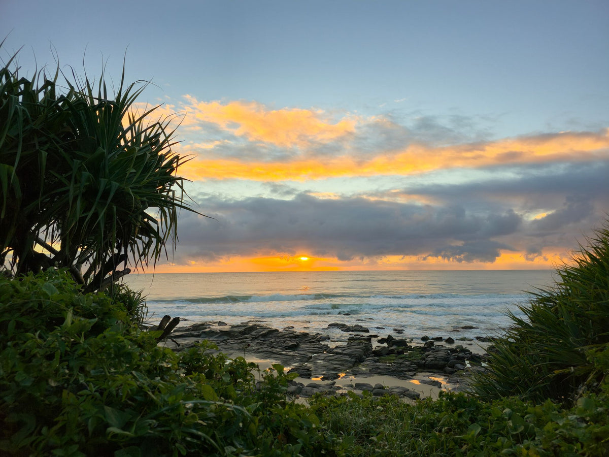 Alex Heads, Sunshine Coast QLD — Day 337