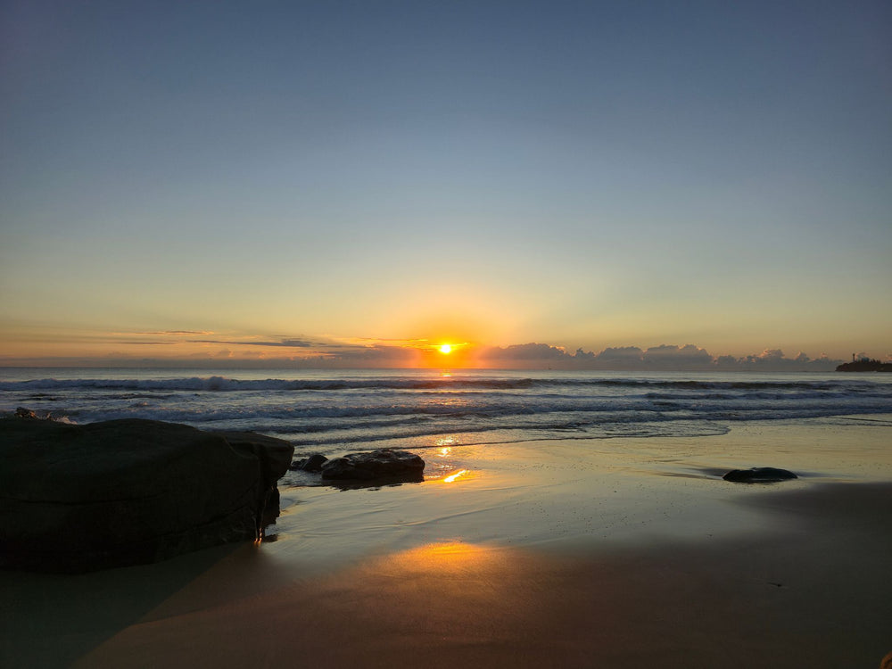 Alex Heads, Sunshine Coast QLD
