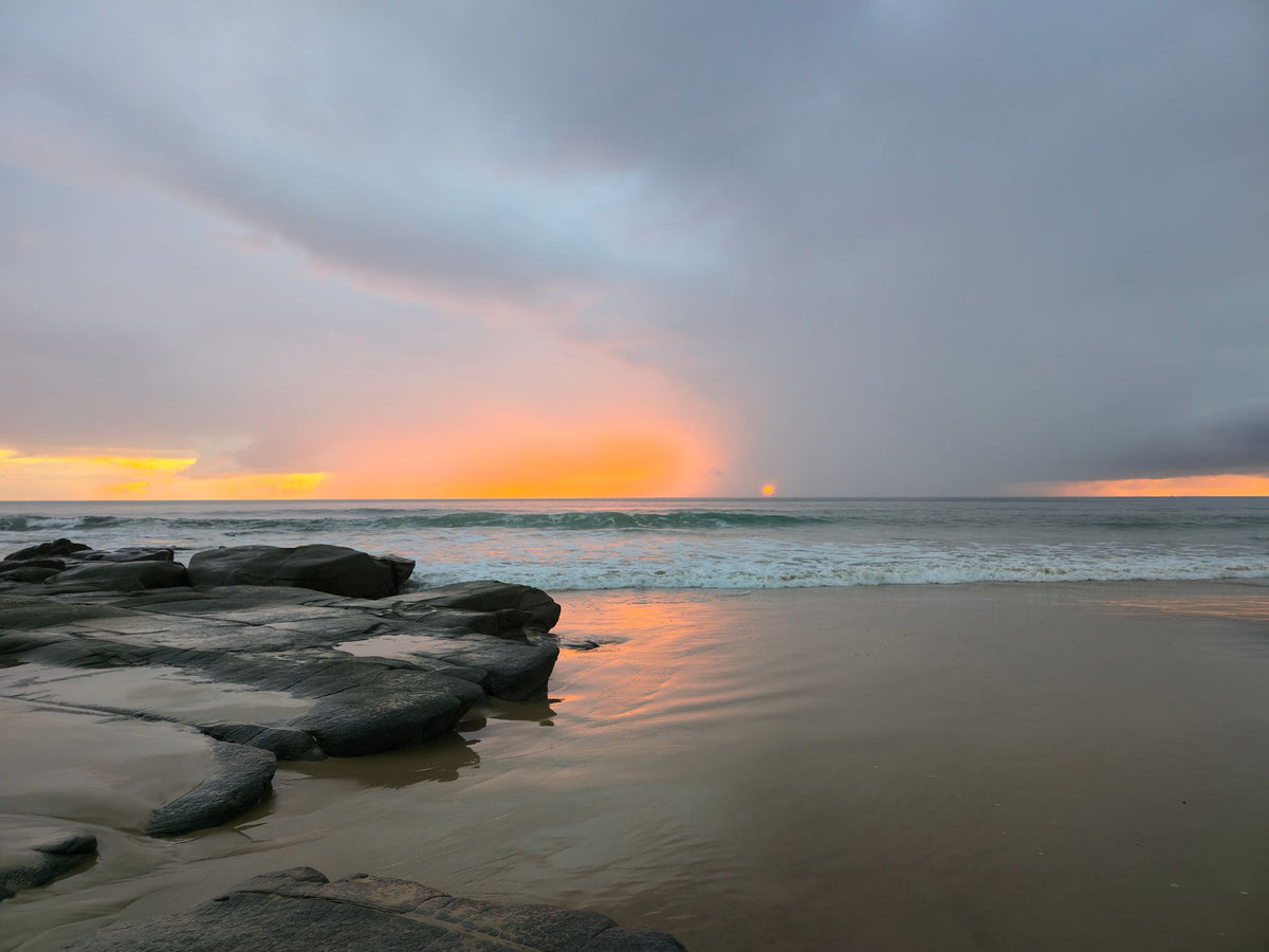 Alex Heads, Sunshine Coast QLD — Day 343