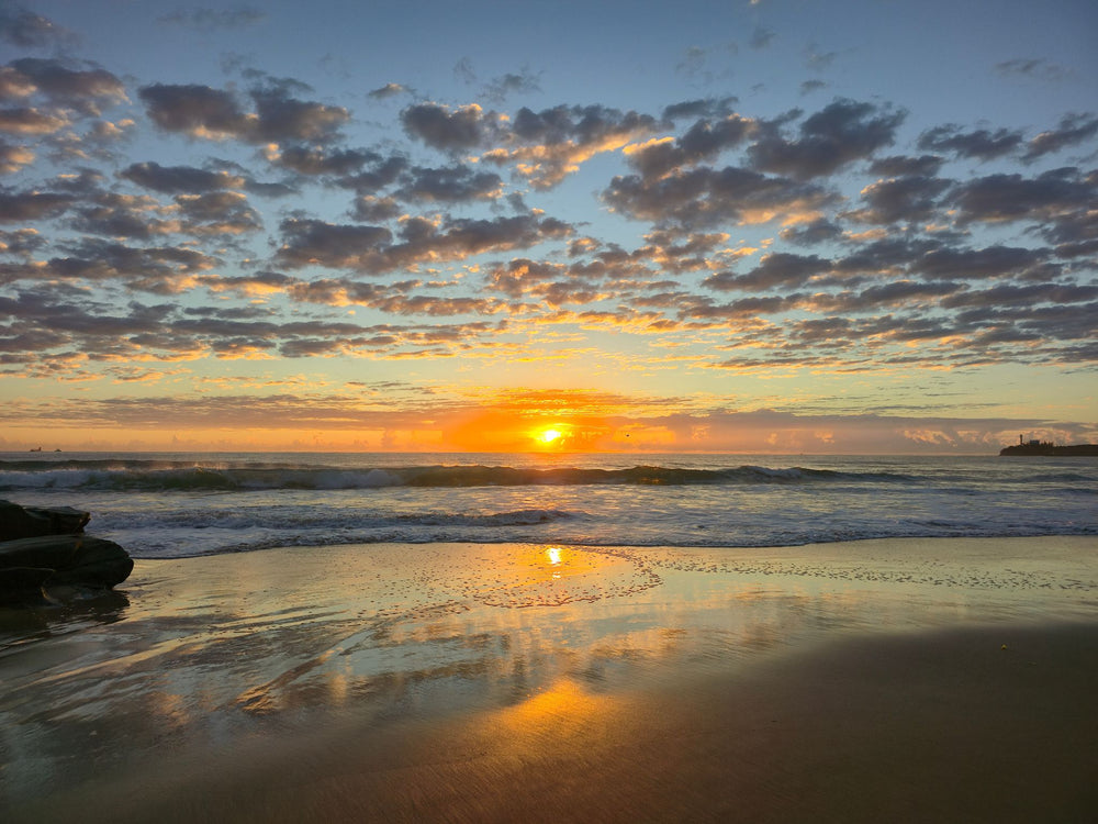 Alex Heads, Sunshine Coast QLD