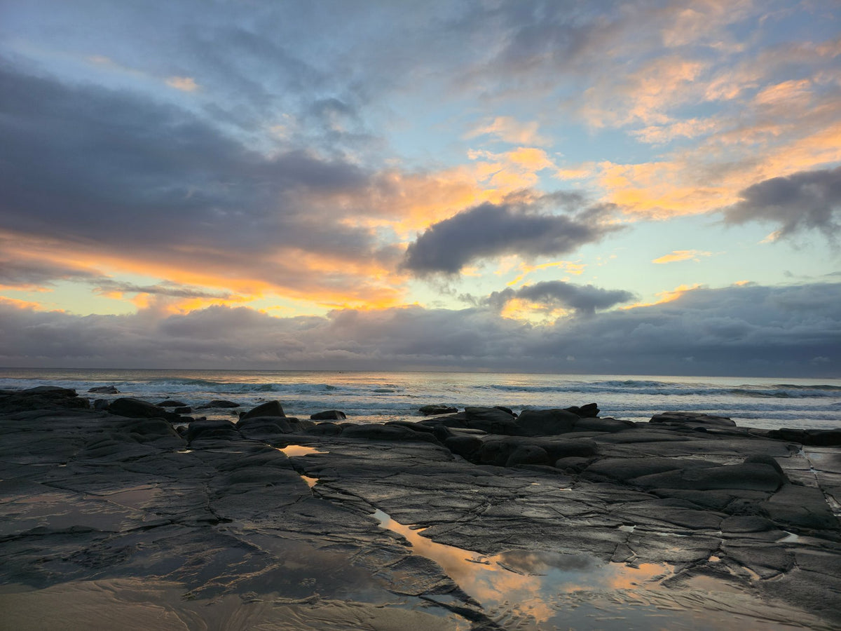 Alex Heads, Sunshine Coast QLD — Day 347