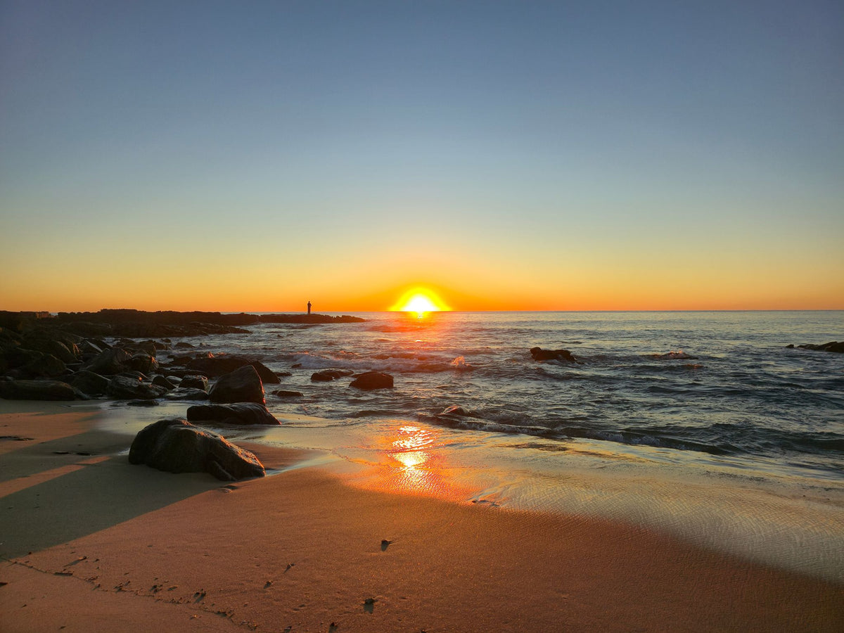Point Arkwright, Sunshine Coast QLD — Day 358