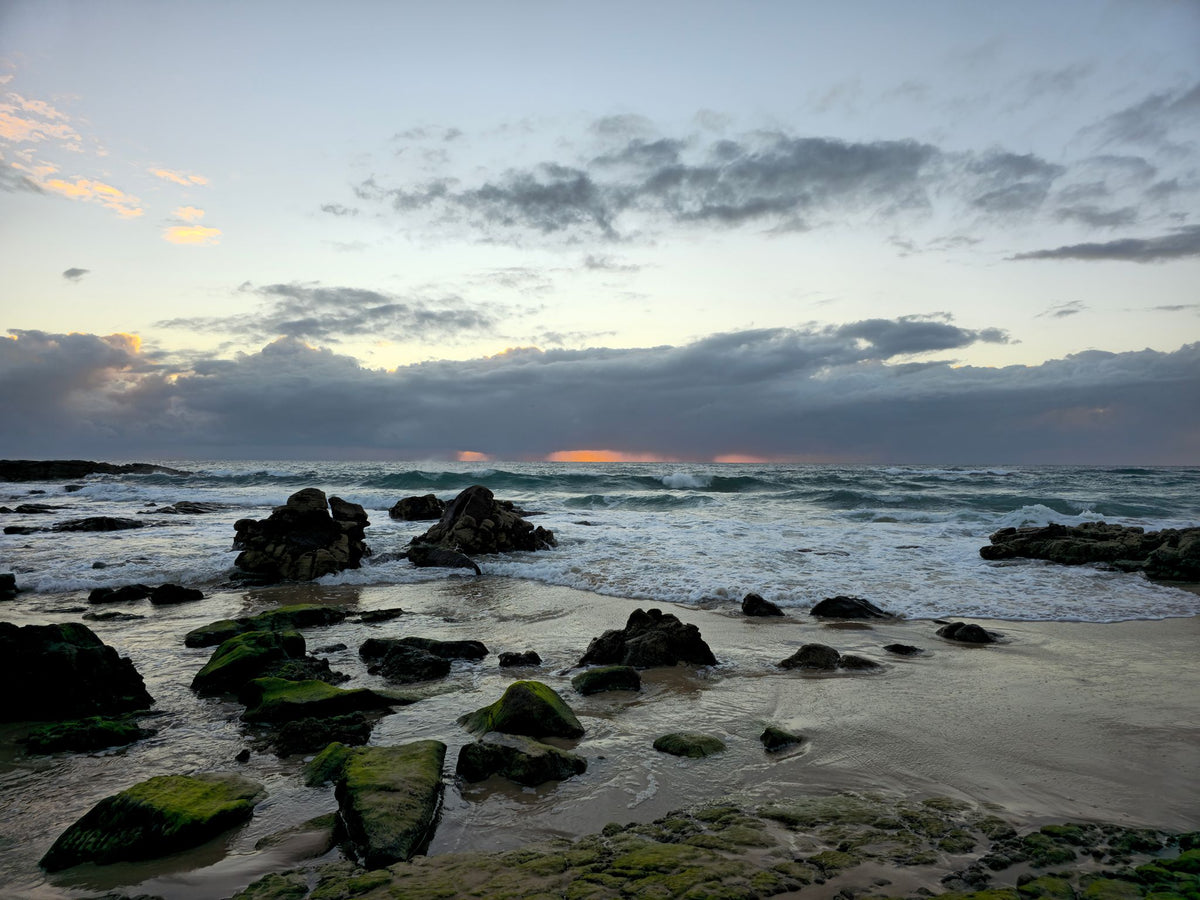 Point Arkwright, Sunshine Coast QLD — Day 361