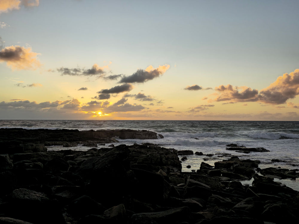 Point Arkwright, Sunshine Coast QLD