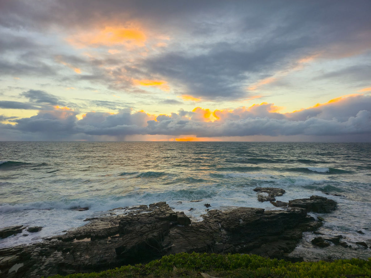 Point Arkwright, Sunshine Coast QLD — Day 364