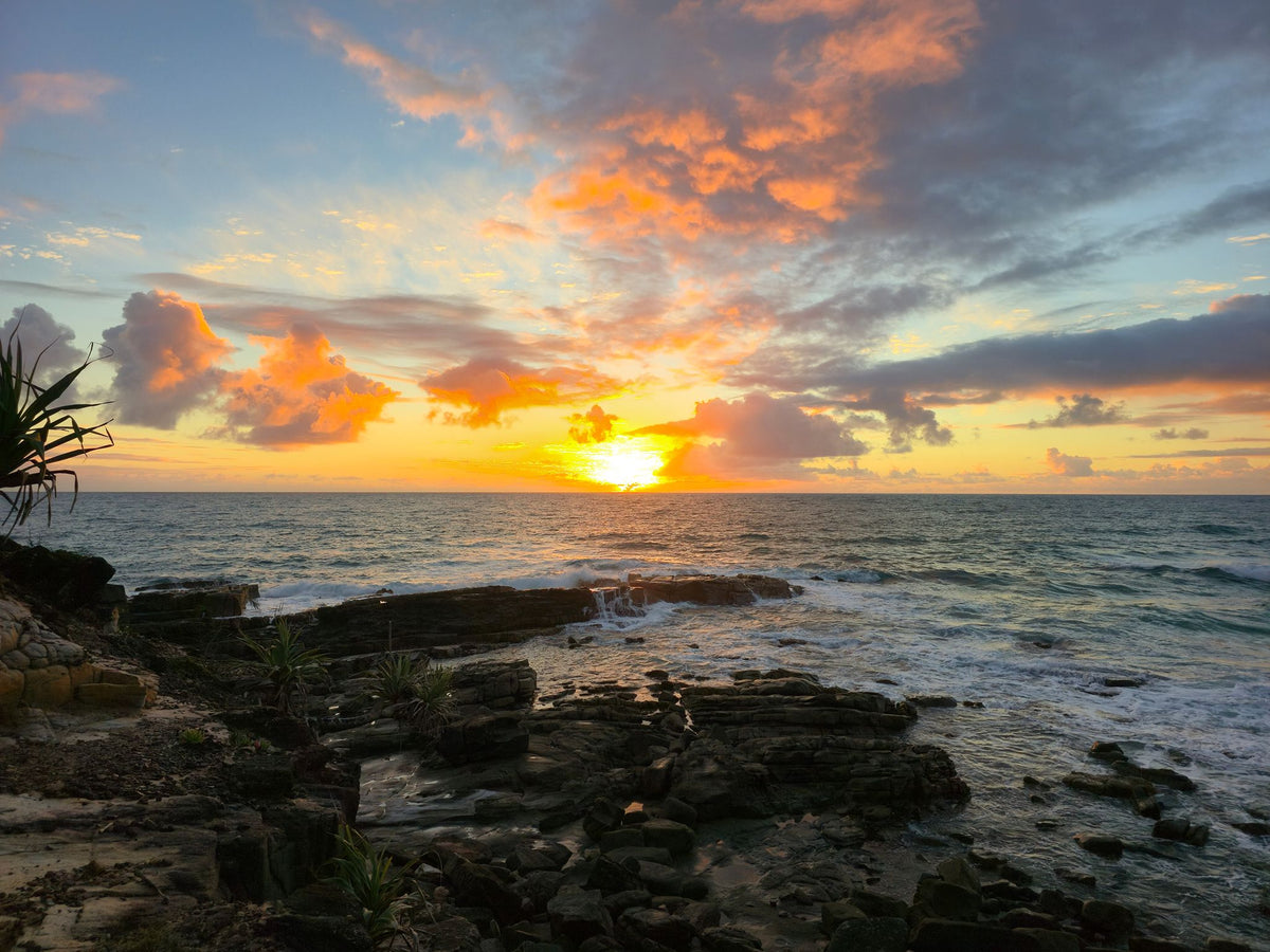 Point Arkwright, Sunshine Coast QLD — Day 370