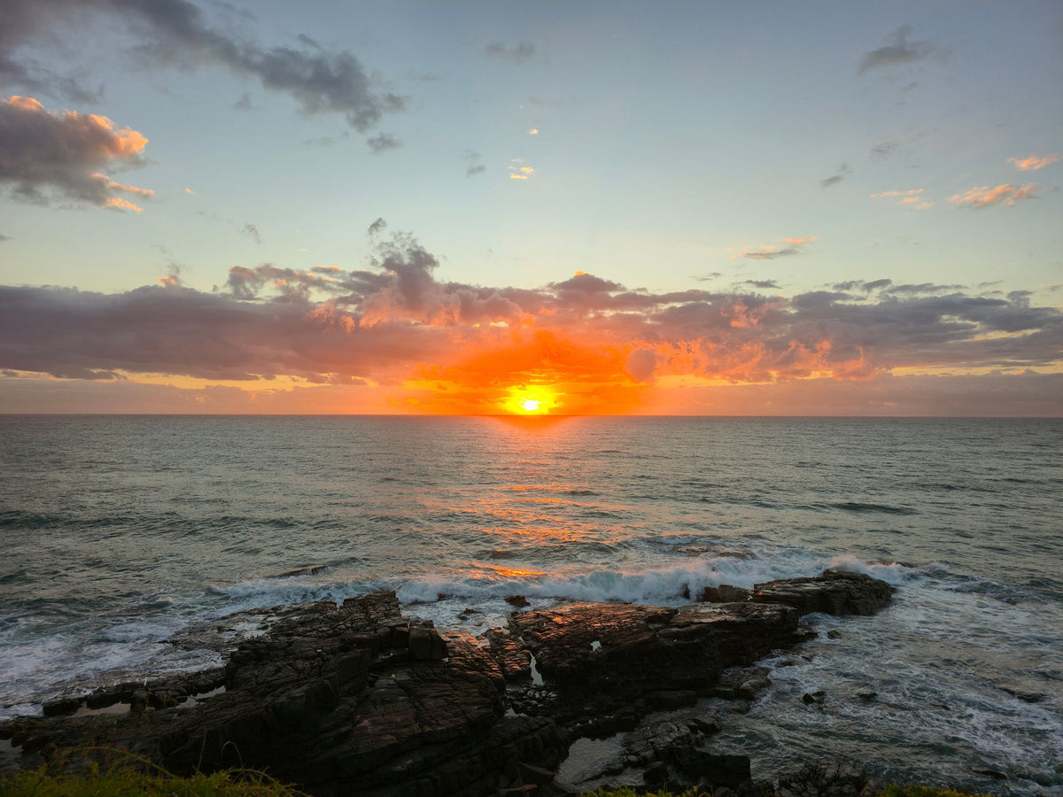 Point Arkwright, Sunshine Coast QLD — Day 375