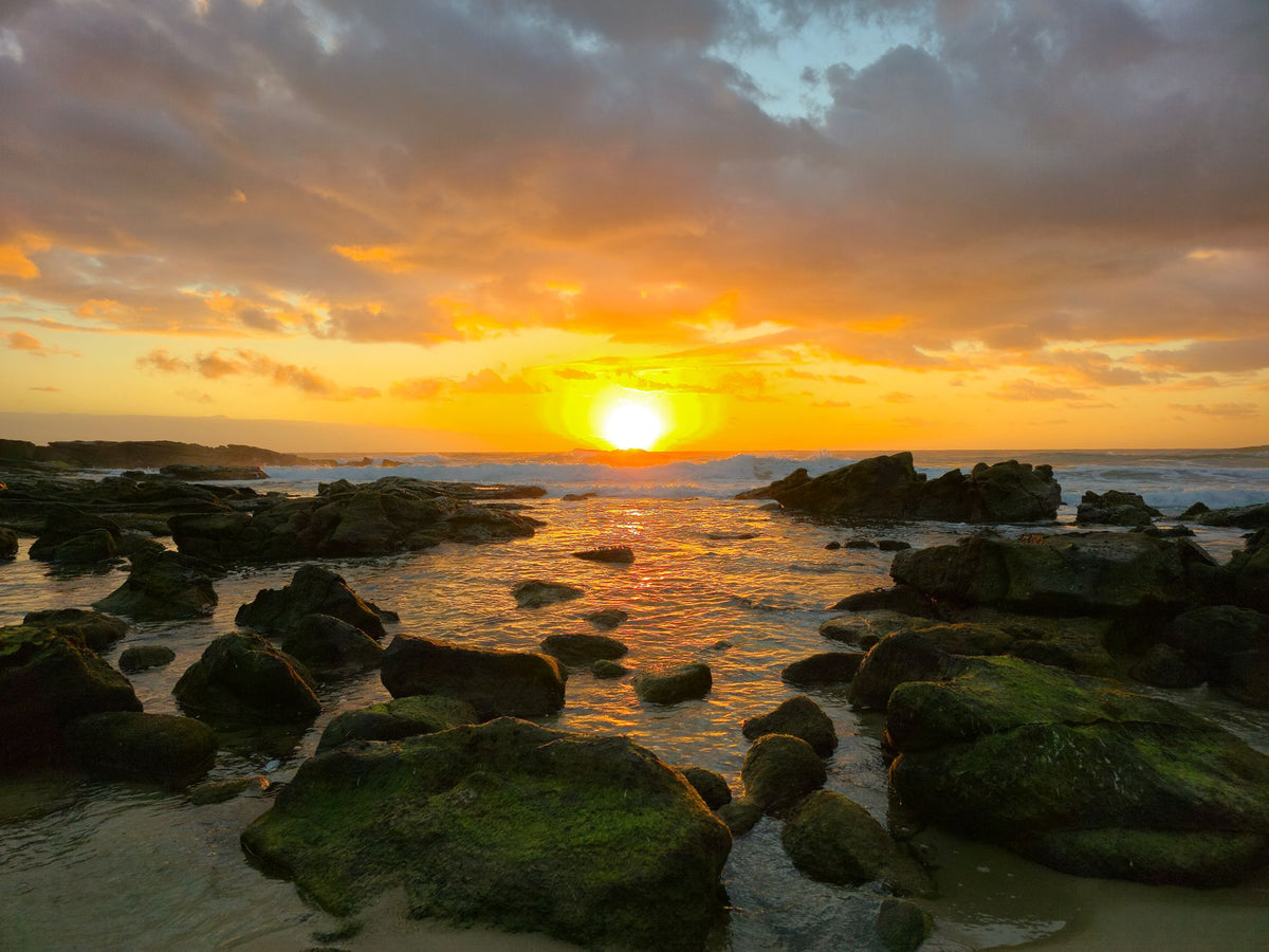 Point Arkwright, Sunshine Coast QLD — Day 378