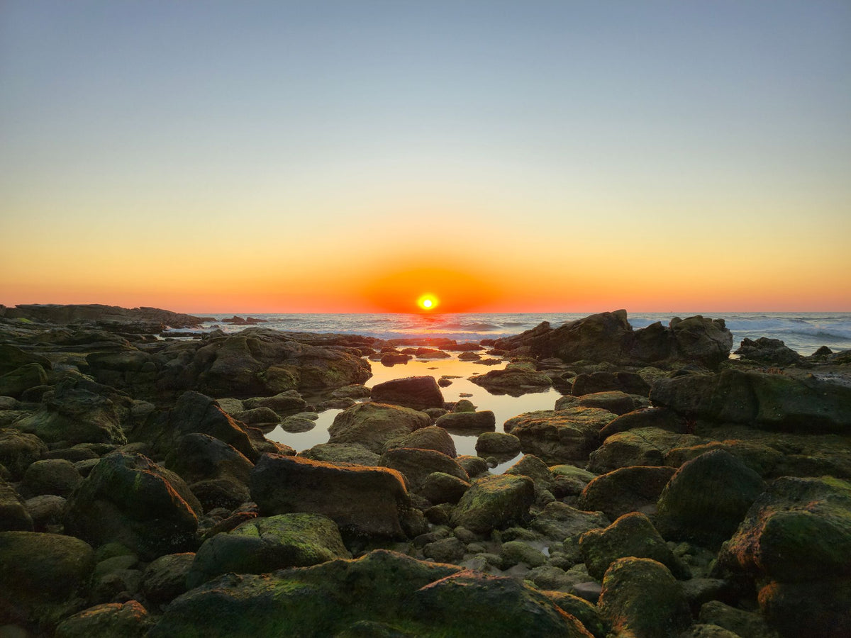 Point Arkwright, Sunshine Coast QLD