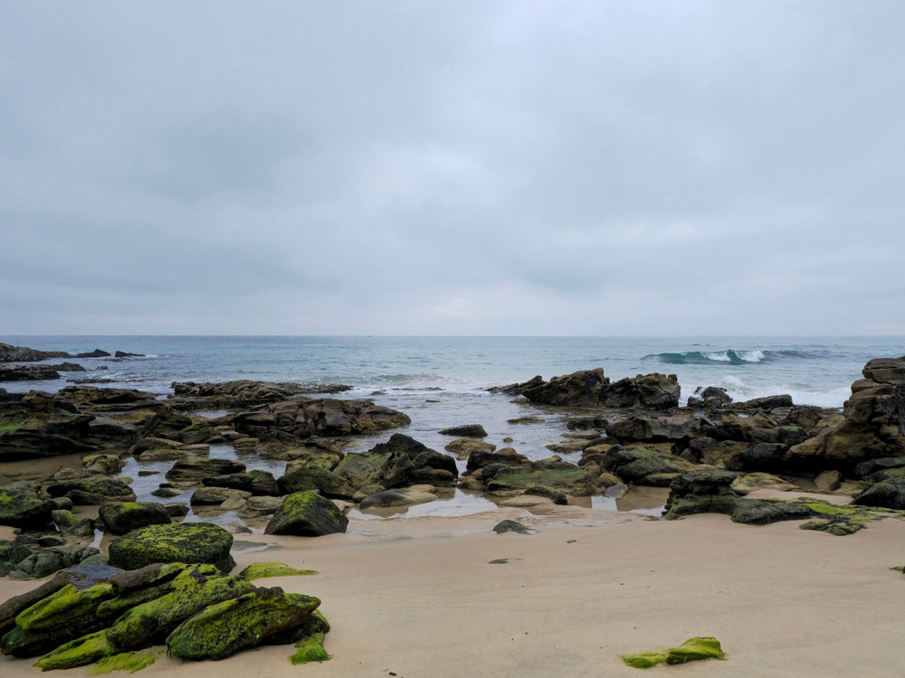 Point Arkwright, Sunshine Coast QLD