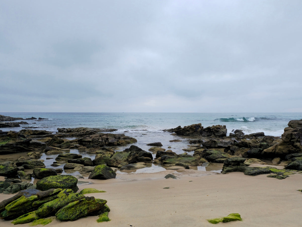 Point Arkwright, Sunshine Coast QLD