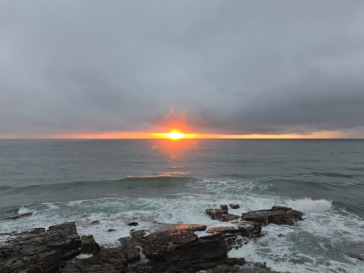 Point Arkwright, Sunshine Coast QLD — Day 389