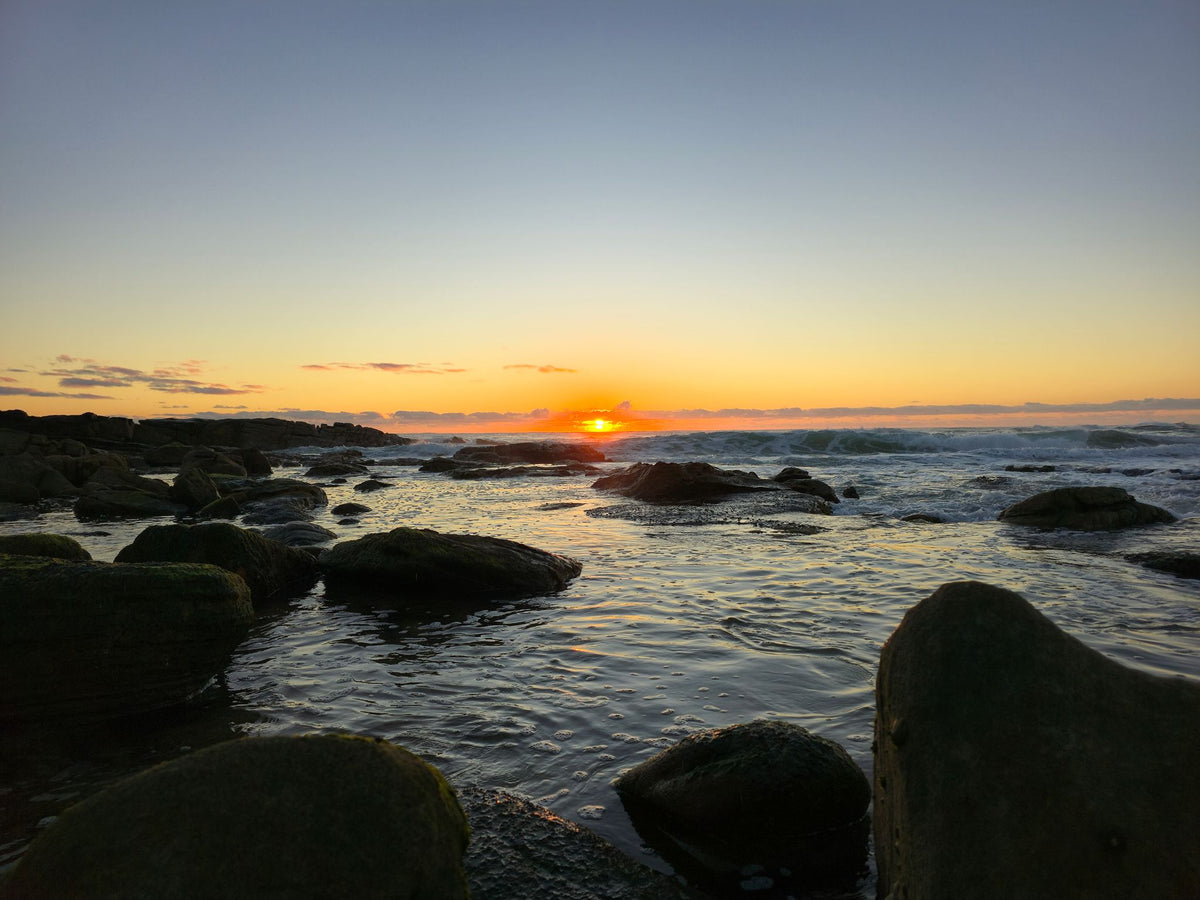 Point Arkwright, Sunshine Coast QLD — Day 392