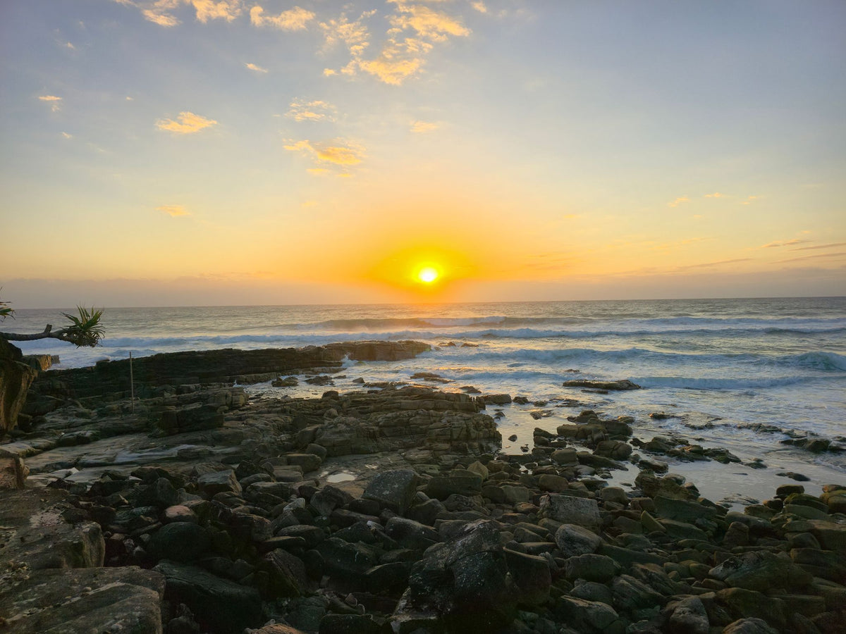 Point Arkwright, Sunshine Coast QLD — Day 394