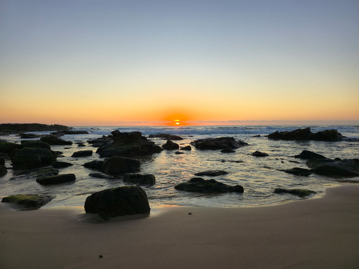 Point Arkwright, Sunshine Coast QLD — Day 396