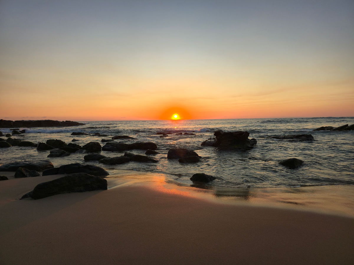Point Arkwright, Sunshine Coast QLD