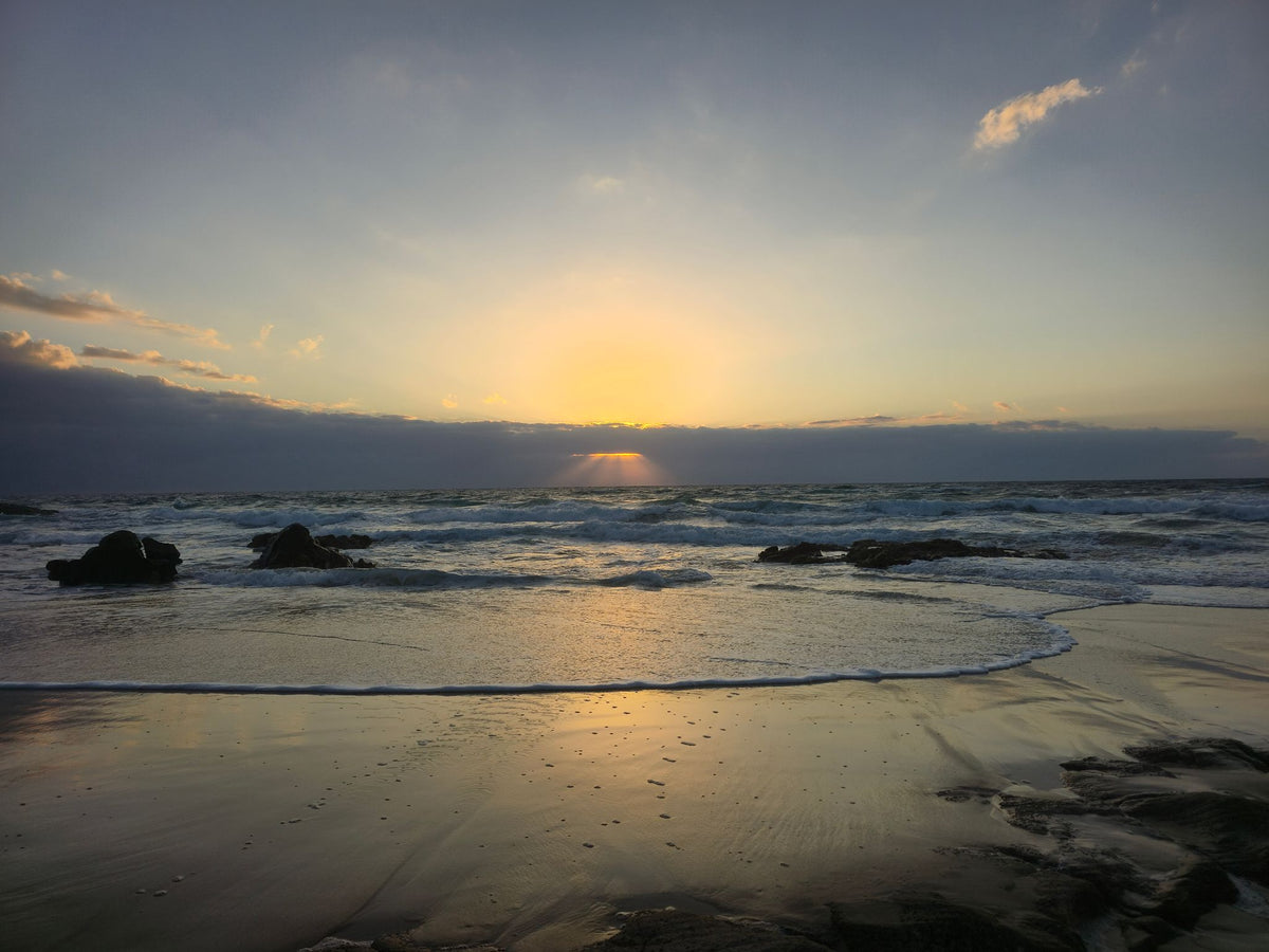 Point Arkwright, Sunshine Coast QLD — Day 400