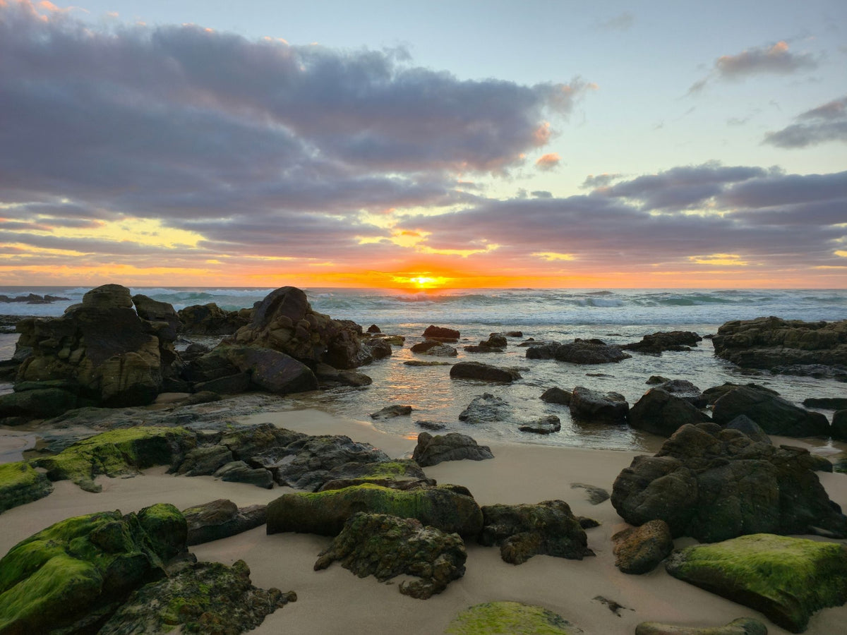 Point Arkwright, Sunshine Coast QLD — Day 410