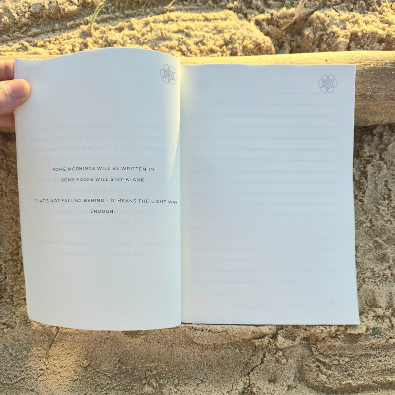 90 Days of Summer - A First Light Companion