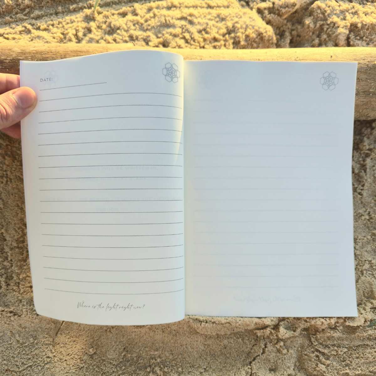 90 Days of Summer - A First Light Companion