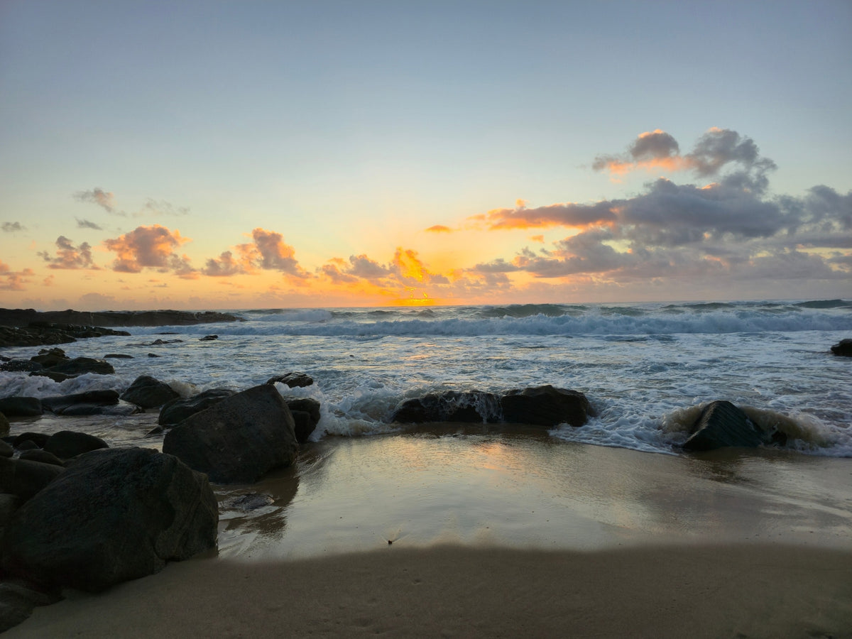 Point Arkwright, Sunshine Coast QLD — Day 404